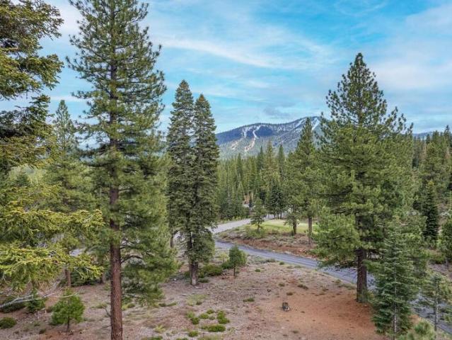 Land for sale in Truckee
