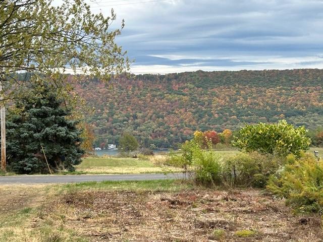 House for sale in Branchport, New York