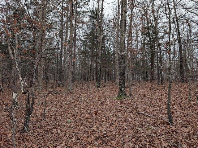 Land for sale in Shannon, Missouri