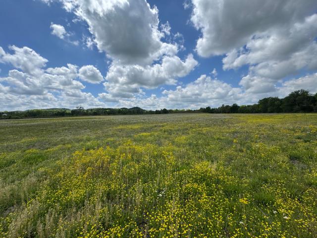 Land for sale in Crab Orchard, Kentucky