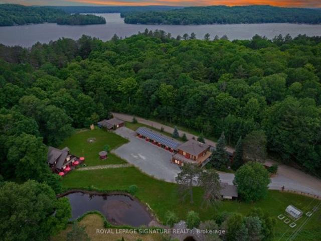 Commercial for sale in Minden Hills, Ontario