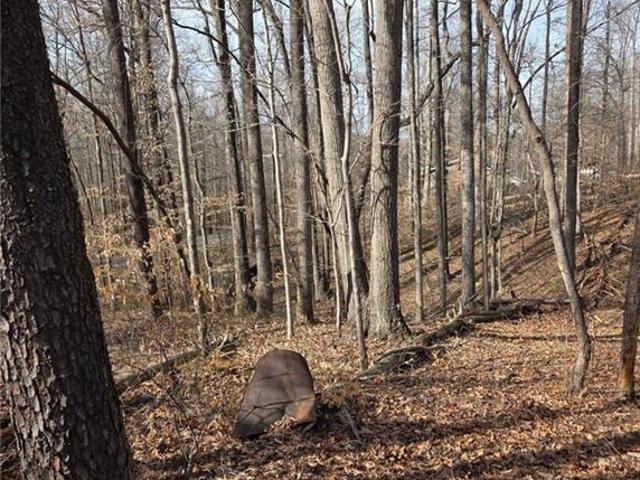Property for sale in Wentworth, North Carolina