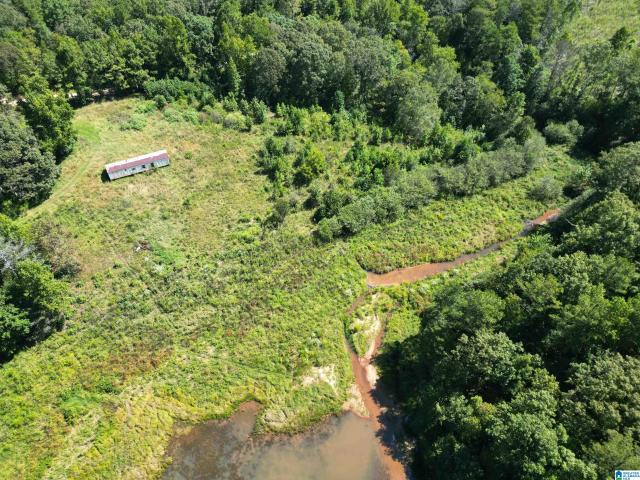 Land for sale in Heflin, Randolph County