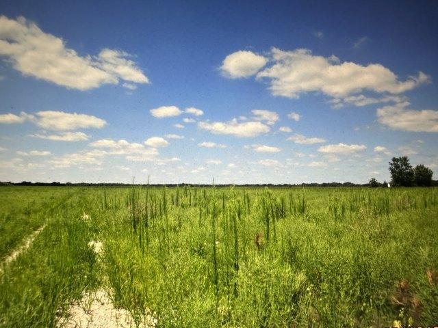 Farm for sale in Morris, Illinois
