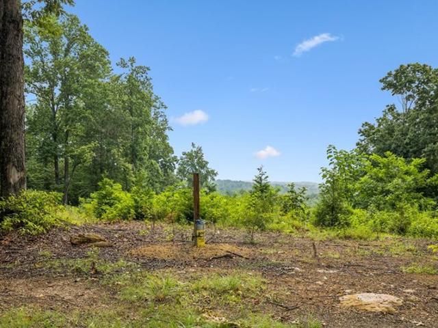 Land for sale in Tennessee