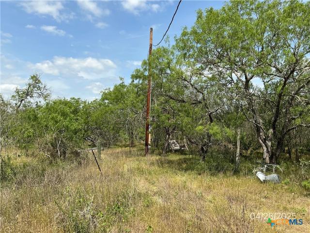 Land for sale in Smiley, Texas