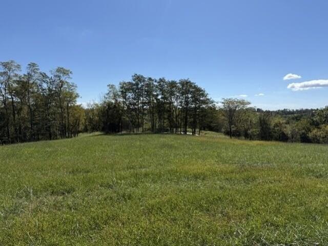 Farm for sale in Mount Olivet, Robertson County