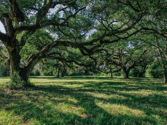 Farm for sale in Washington County, Texas