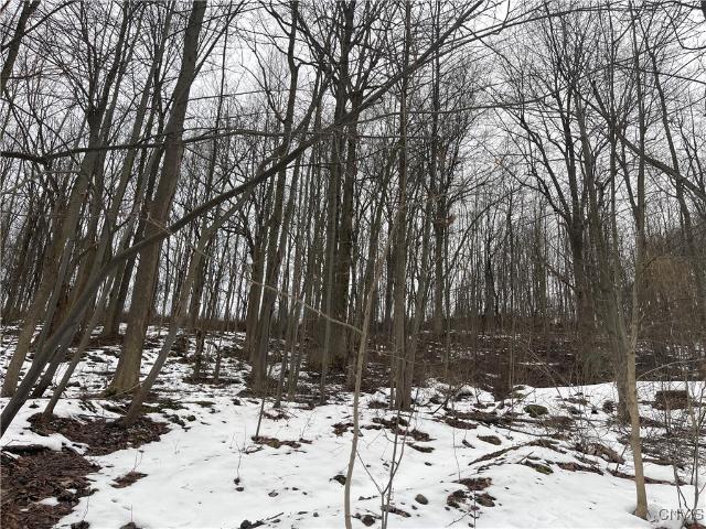 House for sale in Cayuga, New York