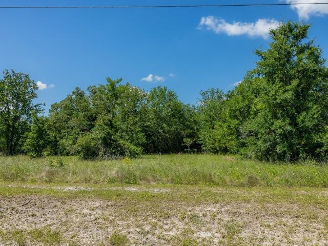 Land for sale in Grimes, Texas