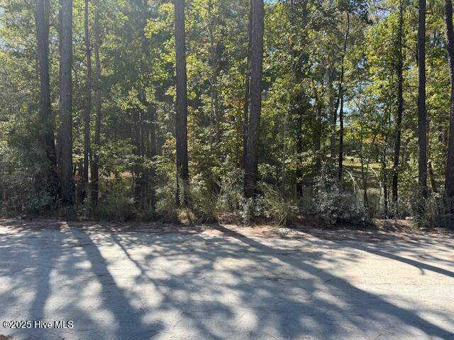 Land for sale in Tabor City, Columbus County
