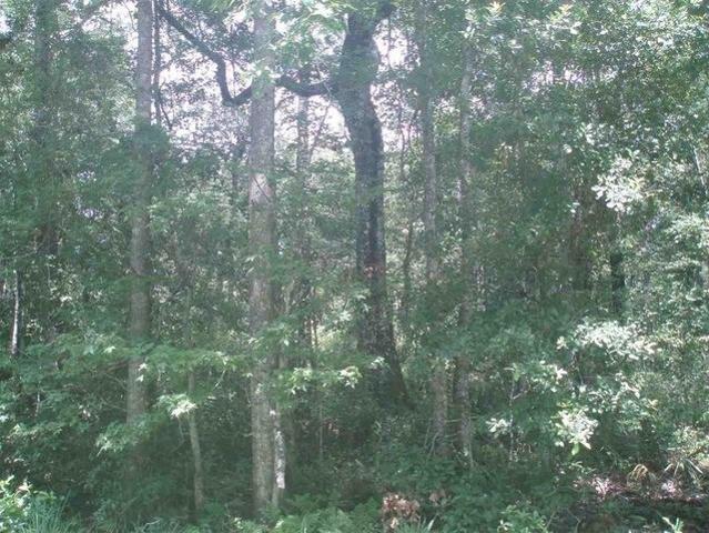 Land for sale in Saint Johns, Florida