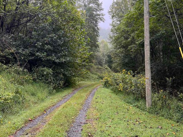 Land for sale in Lovingston, Nelson County