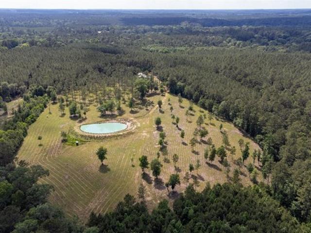 Farm for sale in Colmesneil, Texas