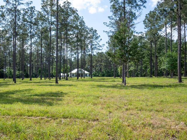 Farm for sale in Colmesneil, Texas