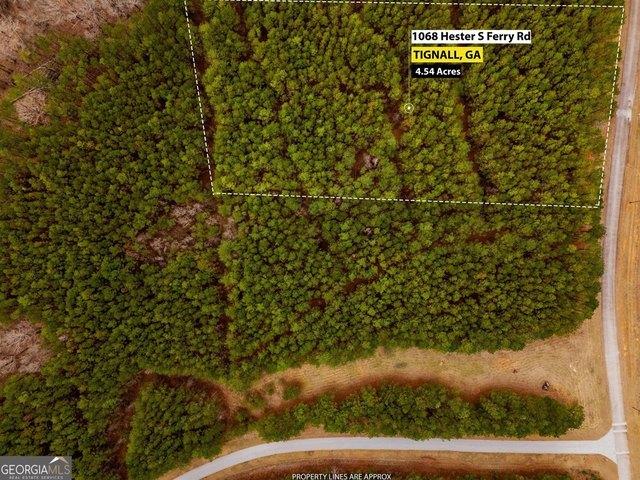Land for sale in Tignall, Georgia