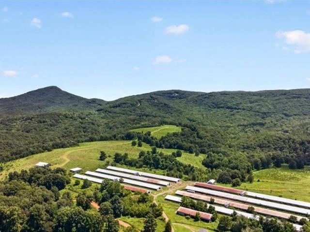 Land for sale in Jasper, Pickens County
