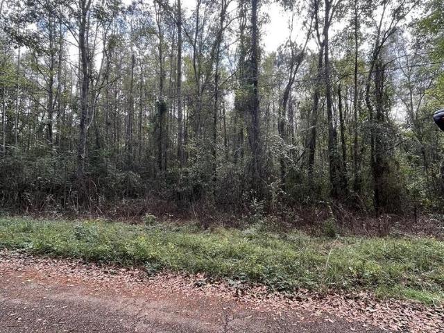 Land for sale in Mccomb