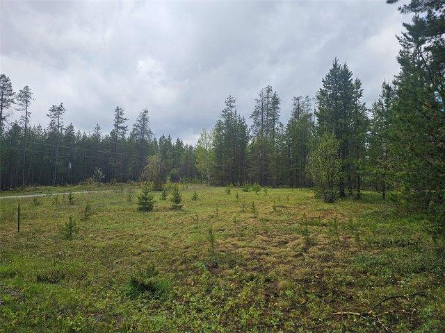 Land for sale in Montana