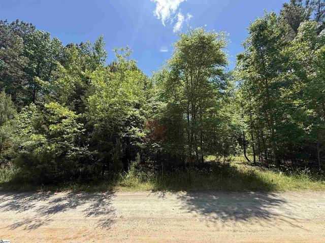 Land for sale in Honea Path, South Carolina