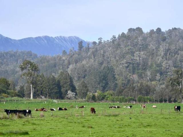 Property for sale in Karamea, West Coast