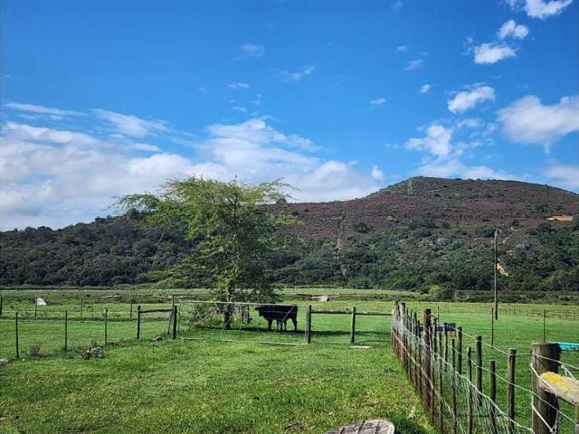 Farm for sale in Groot Brak Rivier, Western Cape