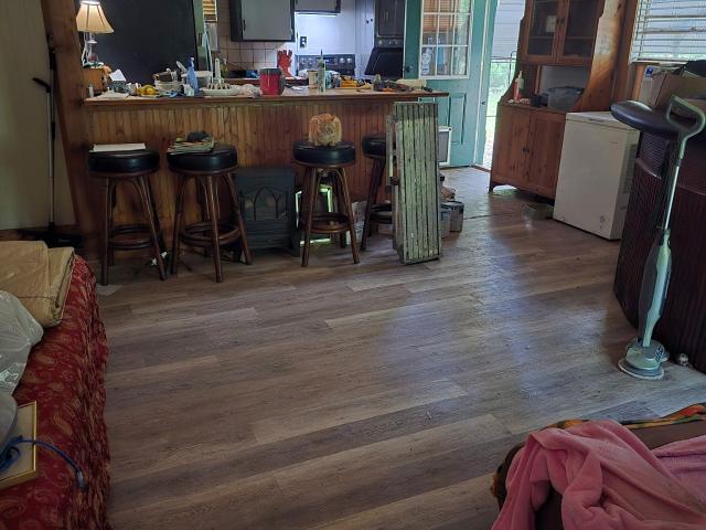 House for sale in Ivanhoe, Tyler County