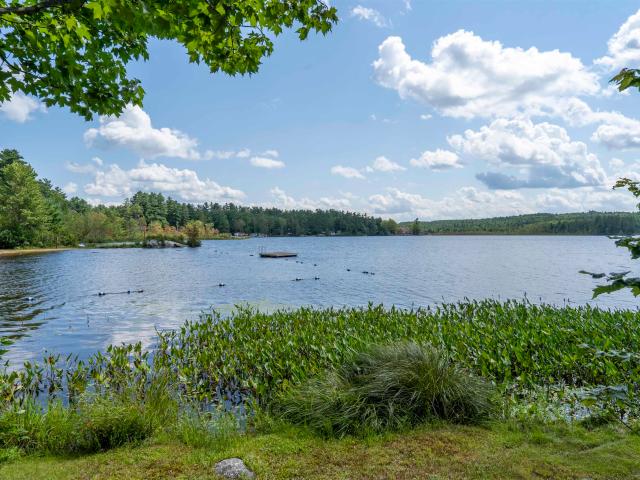 Condo for sale in New Hampshire