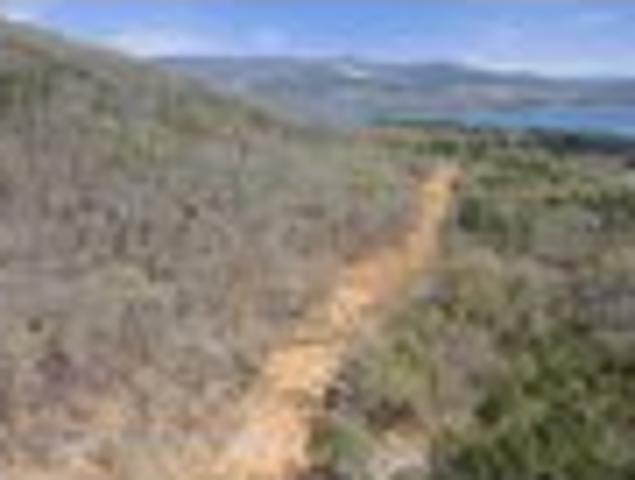 Land for sale in Scottsboro, Alabama
