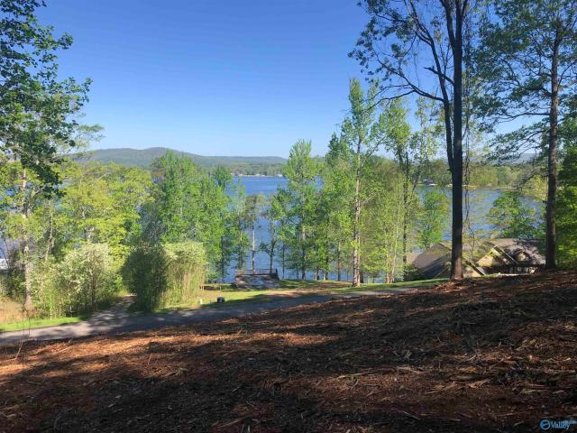 Land for sale in Scottsboro, Alabama
