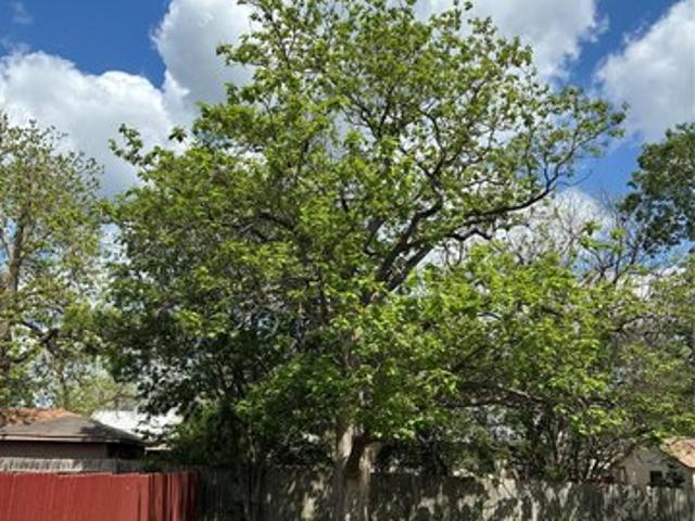 Land for sale in Milam, Texas