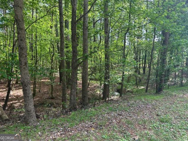 Land for sale in Lindale, Georgia