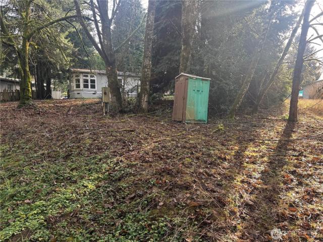 Land for sale in Vader, Washington
