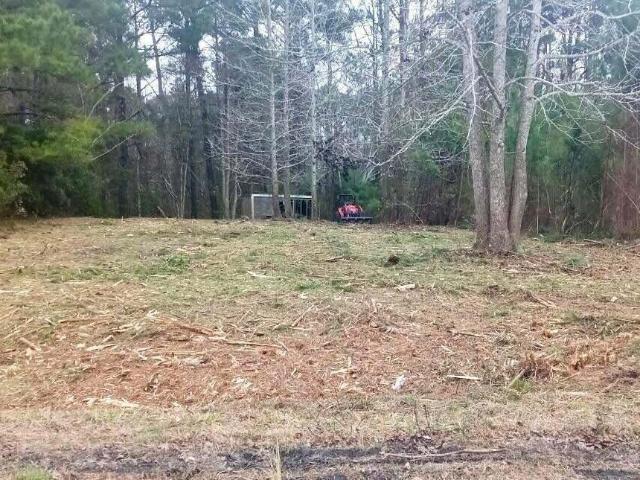 Land for sale in Bear Creek, Onslow County