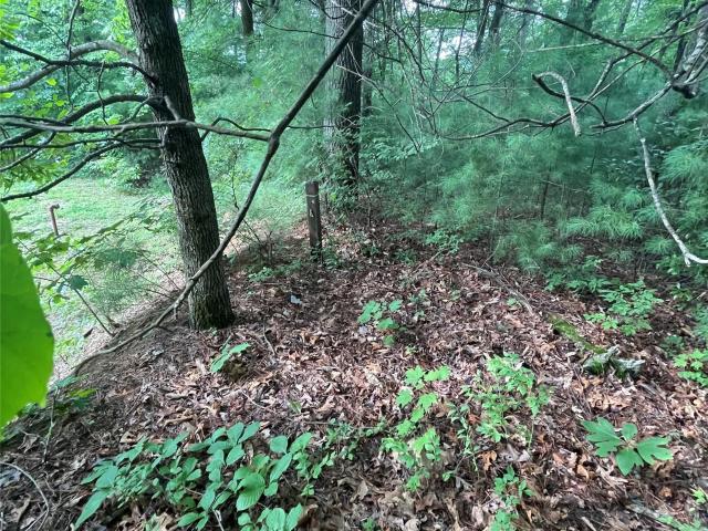 Land for sale in North Carolina