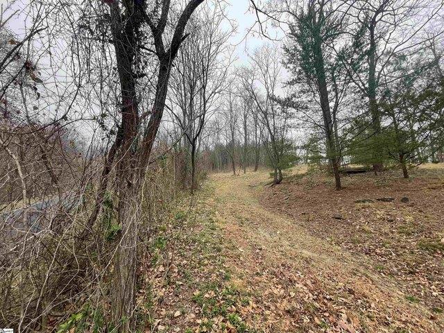 Land for sale in Landrum, South Carolina
