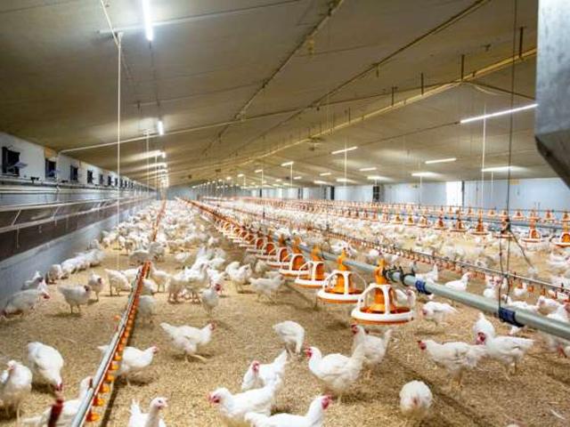 Property for sale in Awhitu