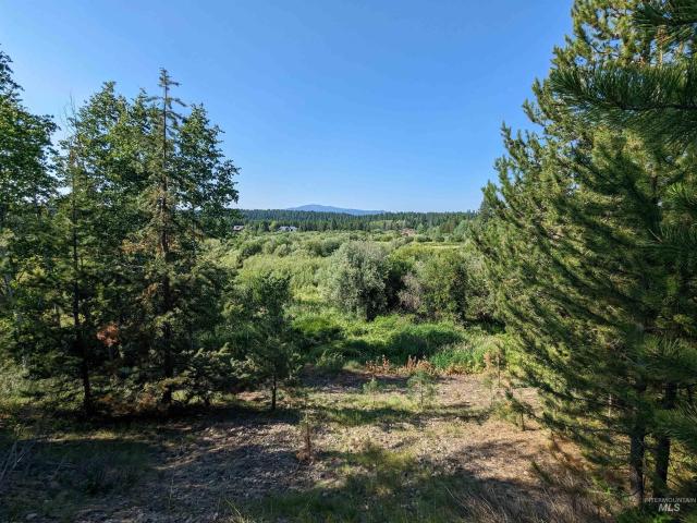 Land for sale in Mccall, Idaho