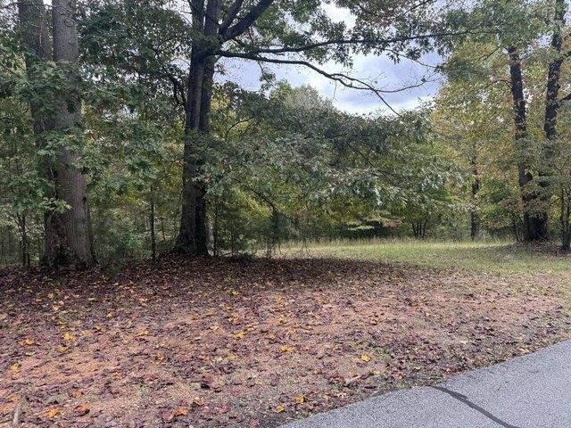 Land for sale in Hayesville, Clay County