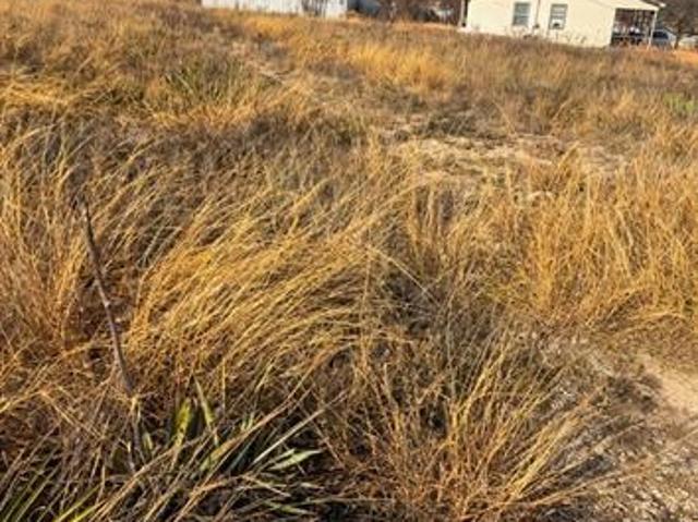 Land for sale in Parker, Texas