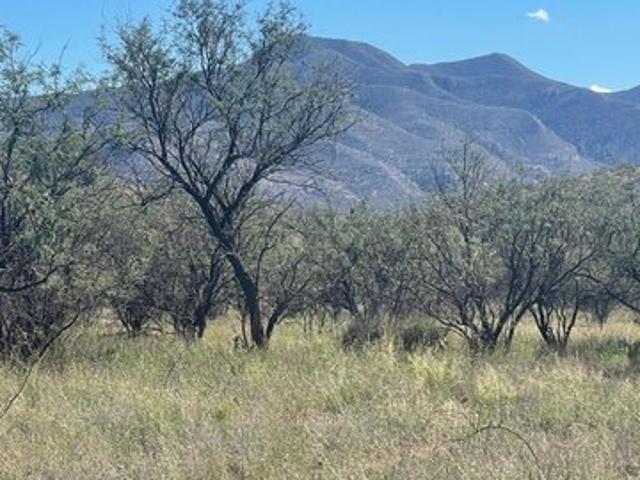 Land for sale in Patagonia, Arizona