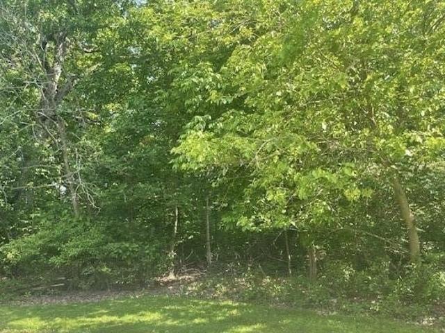 Land for sale in Cook, Cedar Lake