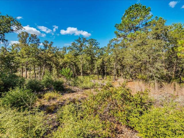 Land for sale in Smithville, Texas
