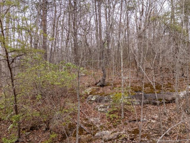 Land for sale in Fairfield Glade, East Tennessee