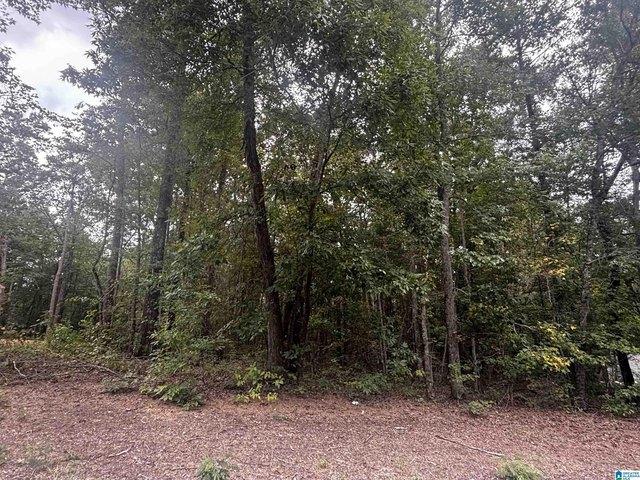 Land for sale in Wilsonville, Shelby County