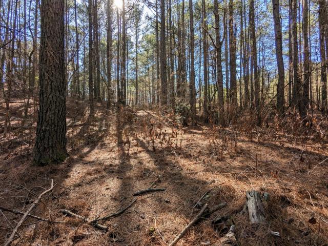 Land for sale in Tennessee