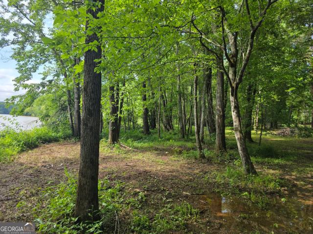 Land for sale in Madison, Morgan County