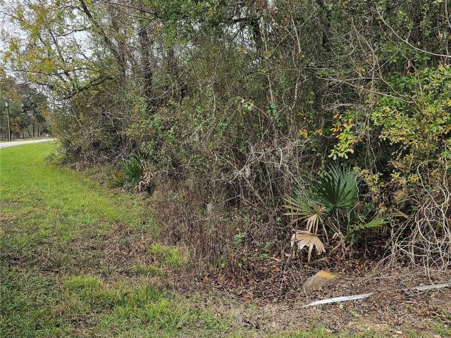 Land for sale in Sweeny, Texas