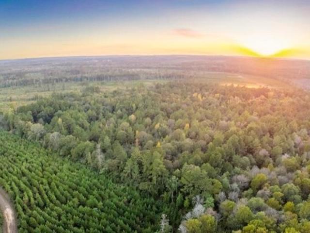 Land for sale in Burkeville, Newton County