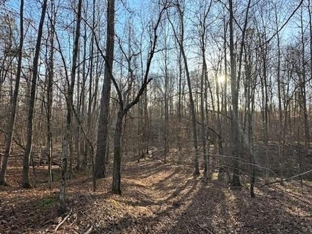 Land for sale in Carlton, Georgia